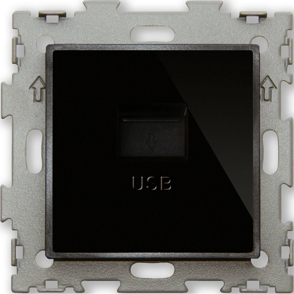 Usb розетка CGSS Эстетика GL-W201U-BCG