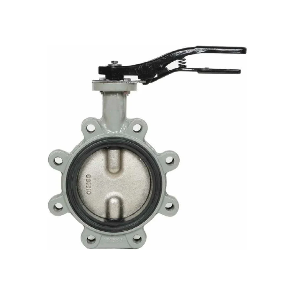 Дисковый поворотный затвор с проушинами Giacomini Giacomini DN80 R59FLX008