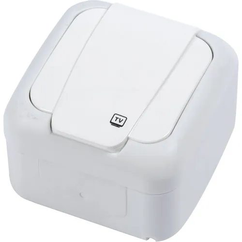 Розетка телевизионная Panasonic Palmiye одинарная, открытая, IP54, белый [90555460-ru]