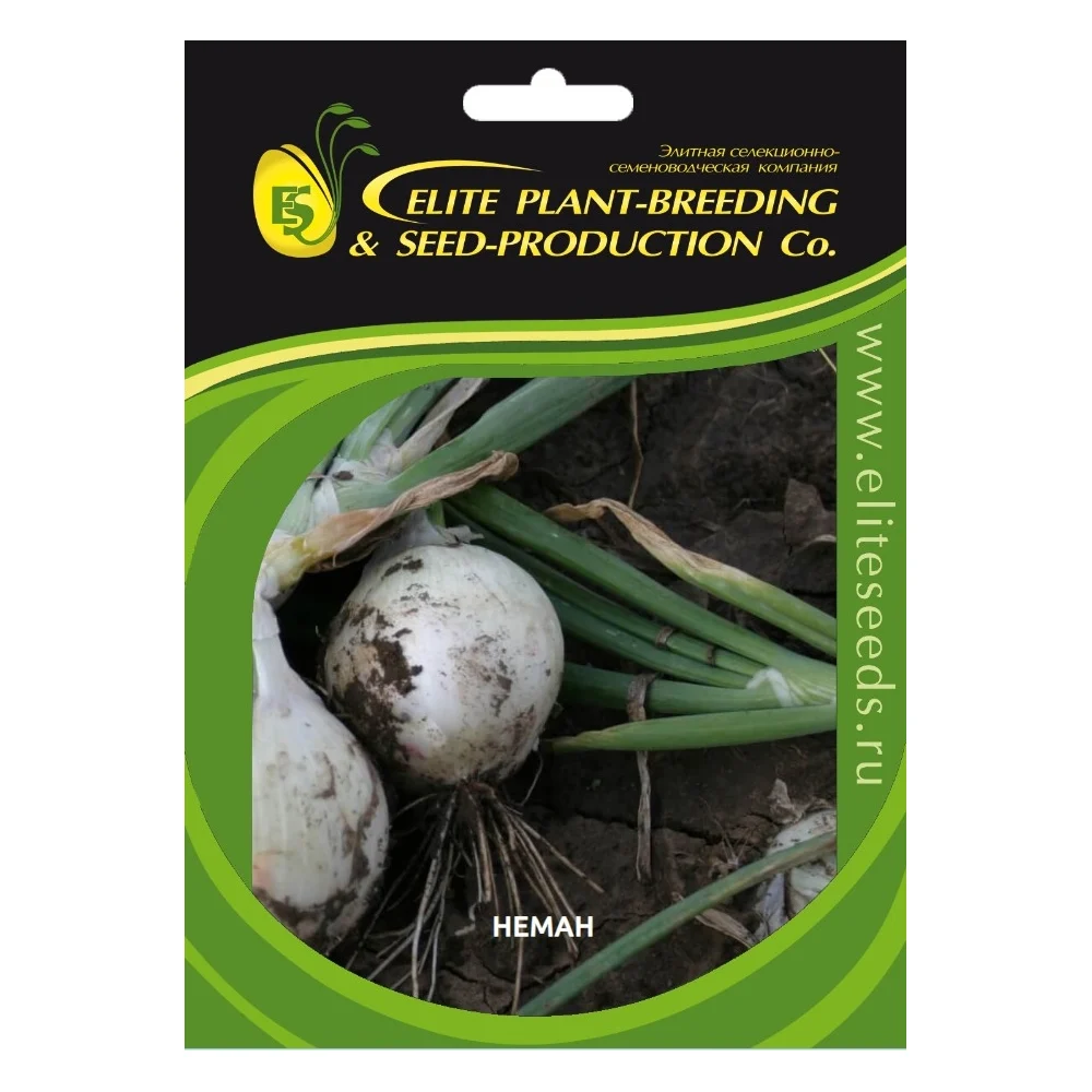 Семена лука репчатого белого ELITE PLANT-BREEDING & SEED PRODUCTION Co. неман 1999945048