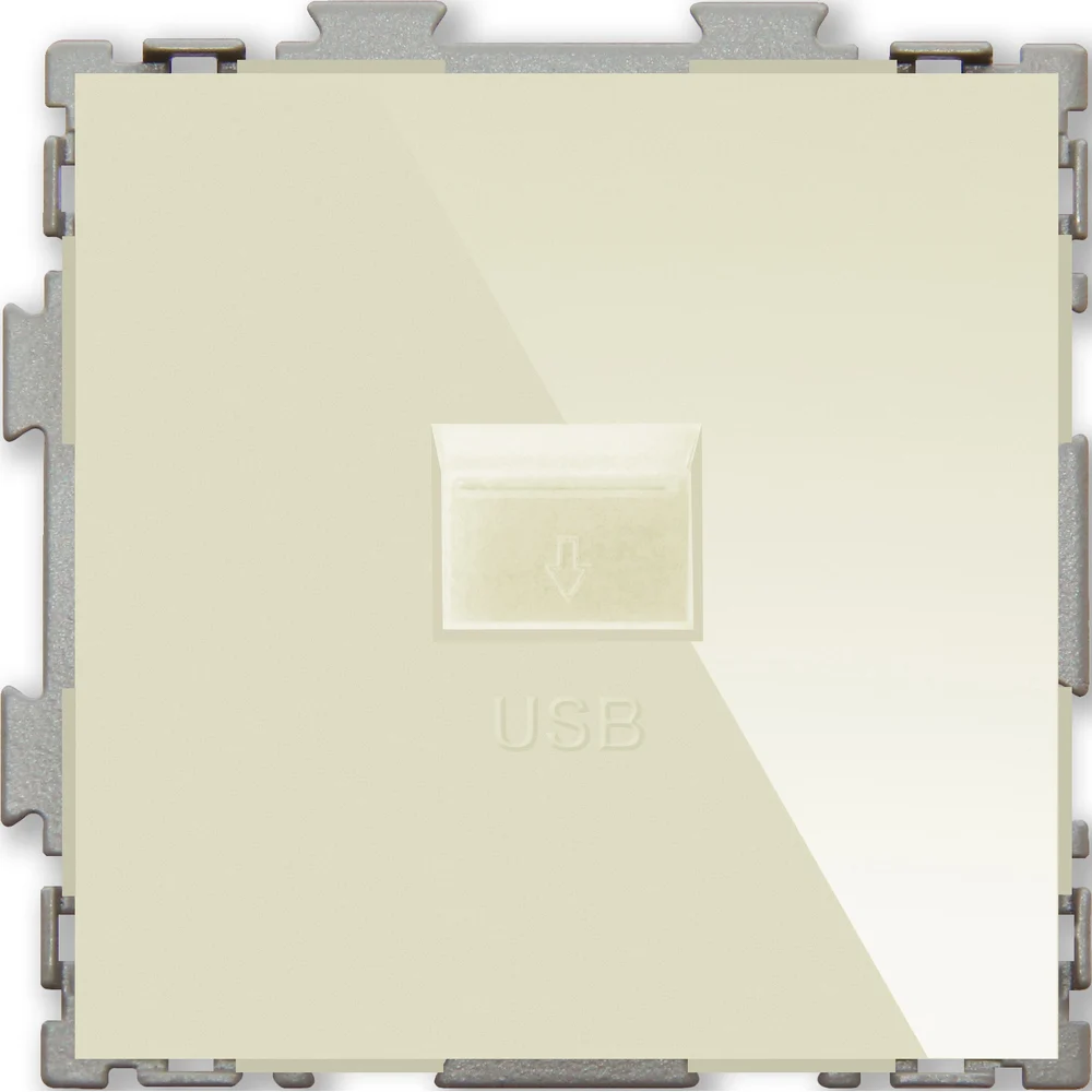 Usb розетка CGSS Практика PL-W201U-BGG
