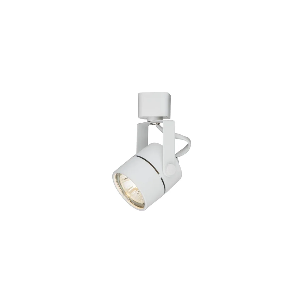 Потолочный светильник ARTE LAMP A1310PL-1WH