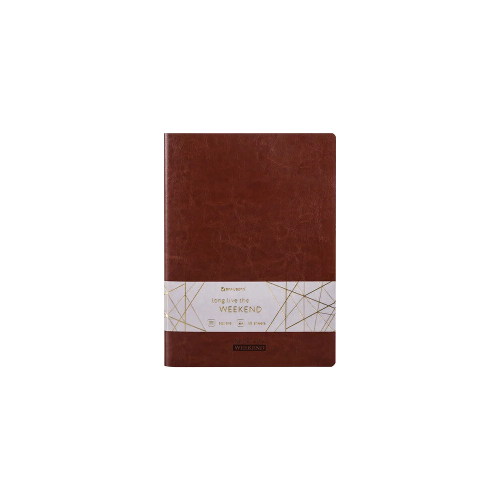 Тетрадь BRAUBERG VIVA 403888
