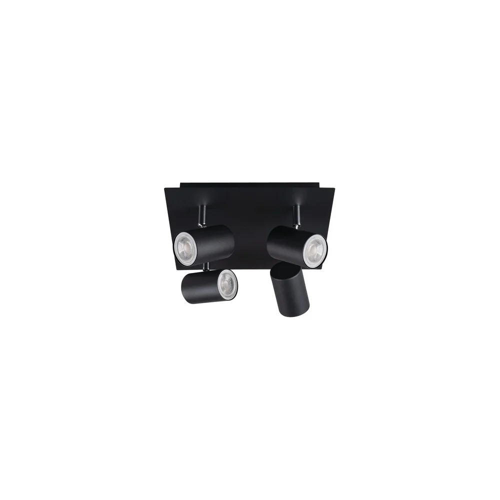 Настенно-потолочный светильник KANLUX evalo el-4o b-sr 35697