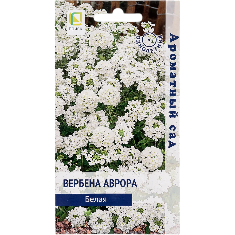 Вербена аврора Агрохолдинг ПОИСК Белая 839229