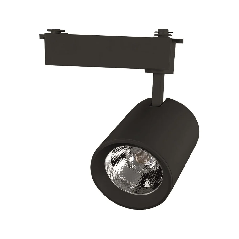 Трековый светильник General Lighting Systems GTR-10-1 580022