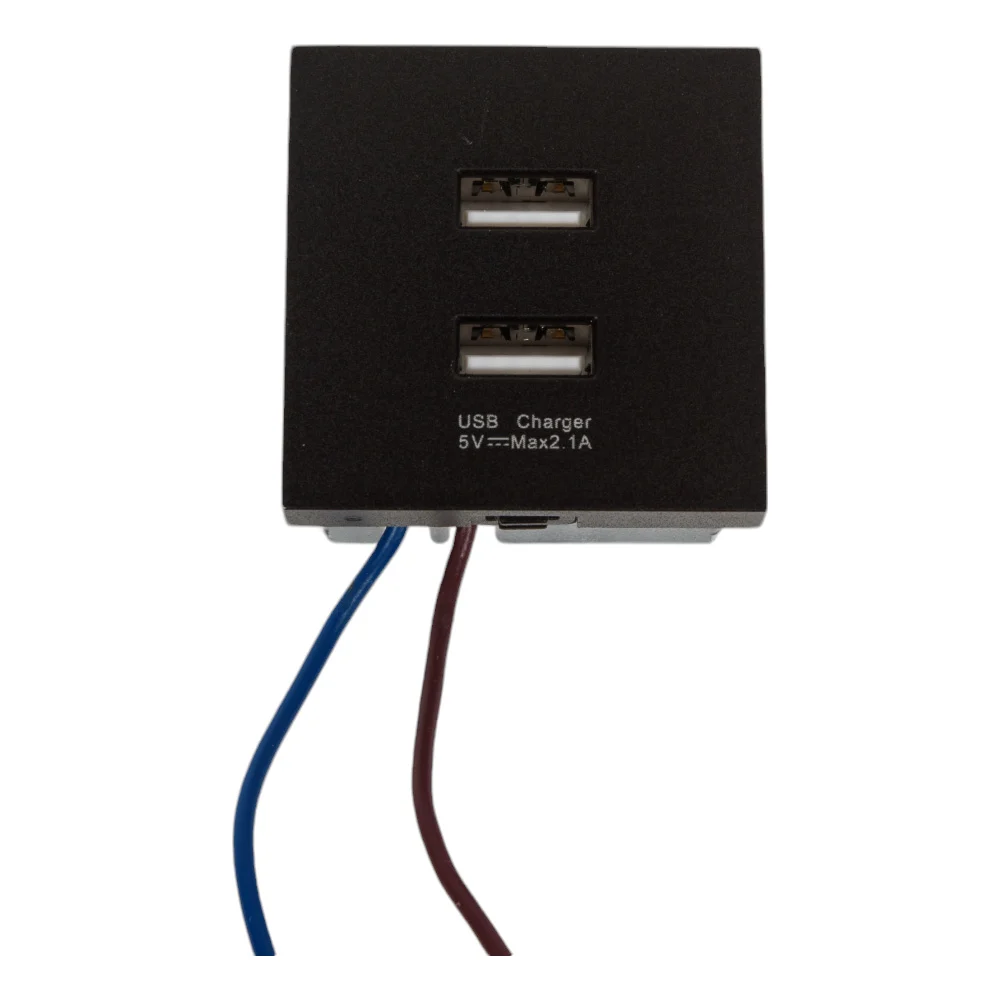 Розетка LIVOLO AM-2USB-12