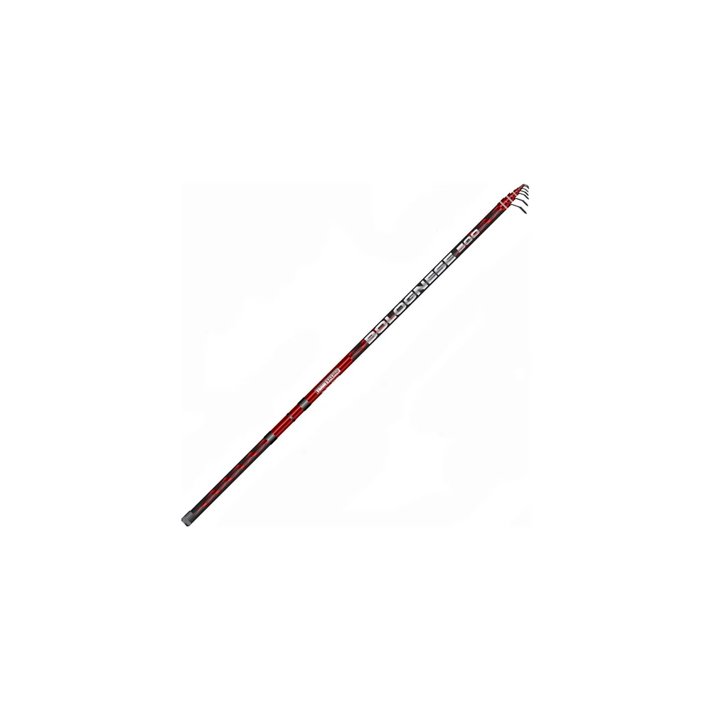 Поплавочное удилище Salmo Team BOLOGNESE 5550-600